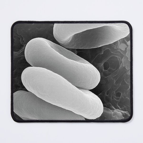 Item preview, Rouleau Formation – Architecture of Human Blood designed and sold by LuluLeb.