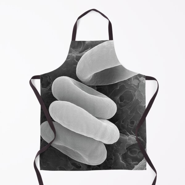 Item preview, Rouleau Formation – Architecture of Human Blood designed and sold by LuluLeb.