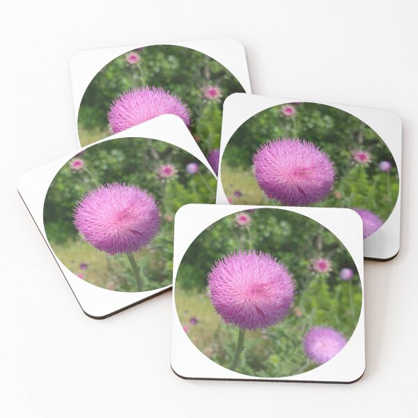 Item preview, Plumeless Thistle Flower Close-Up designed and sold by LastOpe.