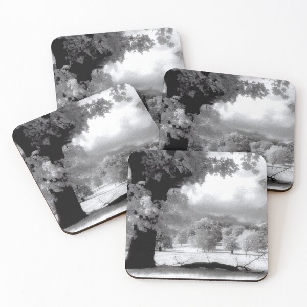 Item preview, Prospect Park Reading Berkshire England UK designed and sold by AndyEvansPhotos.