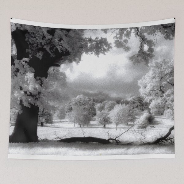 Item preview, Prospect Park Reading Berkshire England UK designed and sold by AndyEvansPhotos.