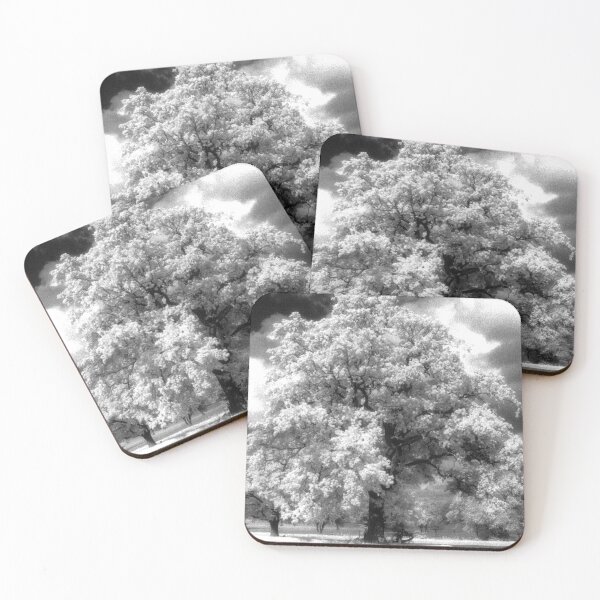 Item preview, Prospect Park Reading Berkshire England UK designed and sold by AndyEvansPhotos.