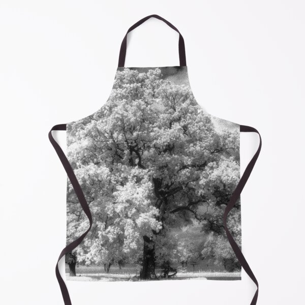 Item preview, Prospect Park Reading Berkshire England UK designed and sold by AndyEvansPhotos.
