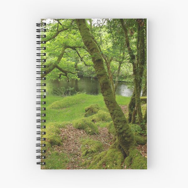 Item preview, The green forests of Ireland designed and sold by miradorpictures.