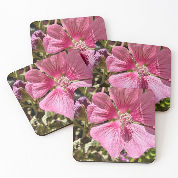 Item preview, Pink flower blooming  designed and sold by Betsy Phillips.