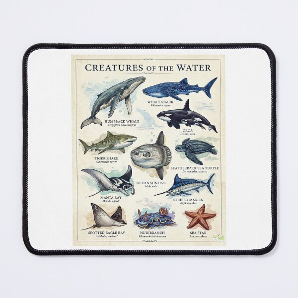 Item preview, Creatures of the Water Marine Life designed and sold by AzalaiBubbles.