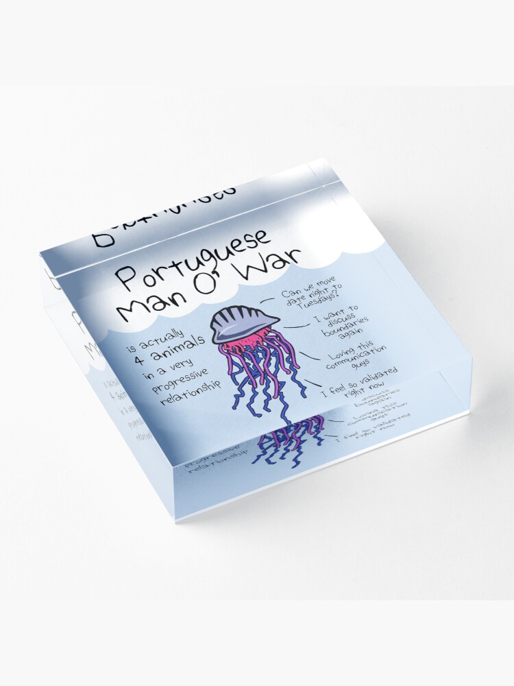 Alternate view of Portuguese Man O' War Is Actually 4 Animals In A Very Progressive Relationship Acrylic Block
