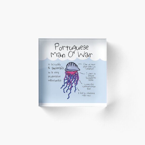 Portuguese Man O' War Is Actually 4 Animals In A Very Progressive Relationship Acrylic Block