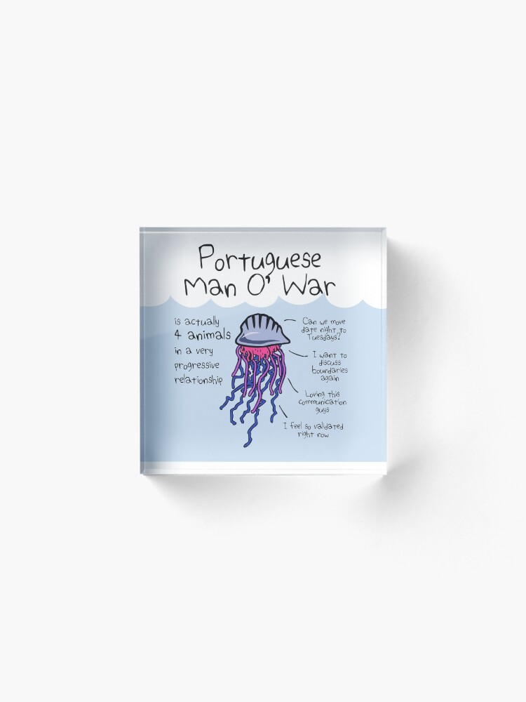 Alternate view of Portuguese Man O' War Is Actually 4 Animals In A Very Progressive Relationship Acrylic Block