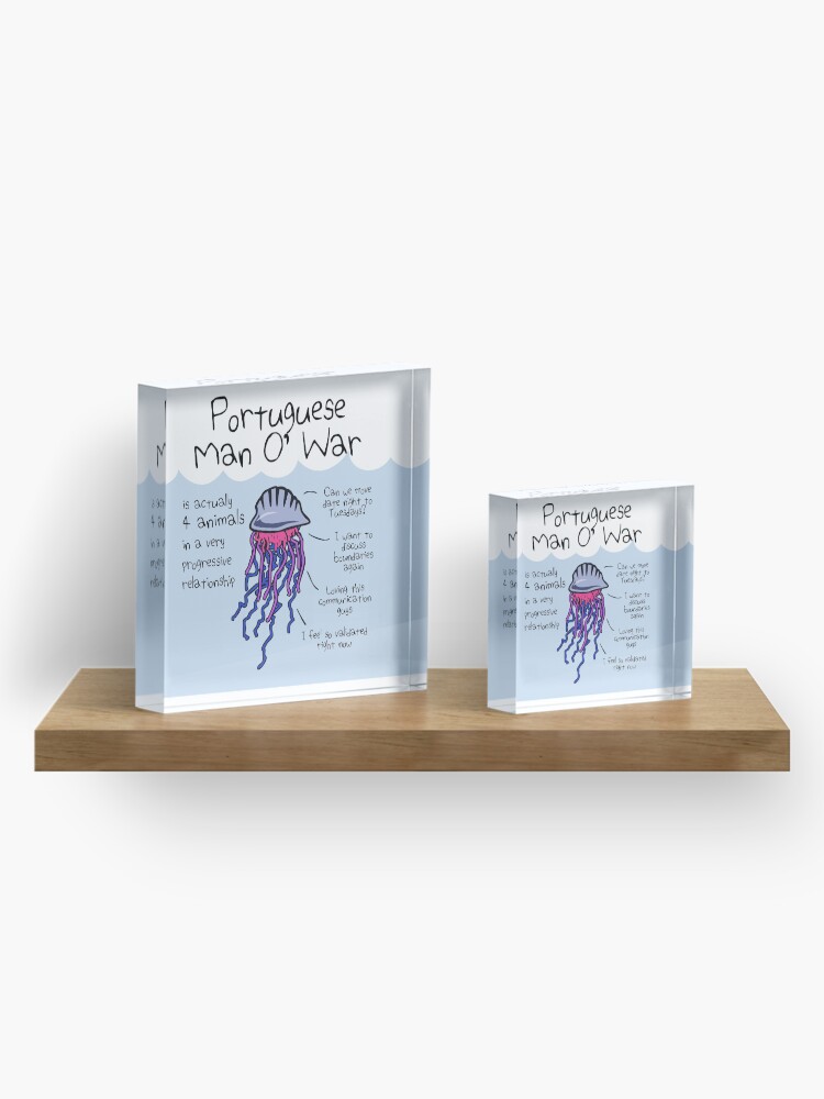 Alternate view of Portuguese Man O' War Is Actually 4 Animals In A Very Progressive Relationship Acrylic Block