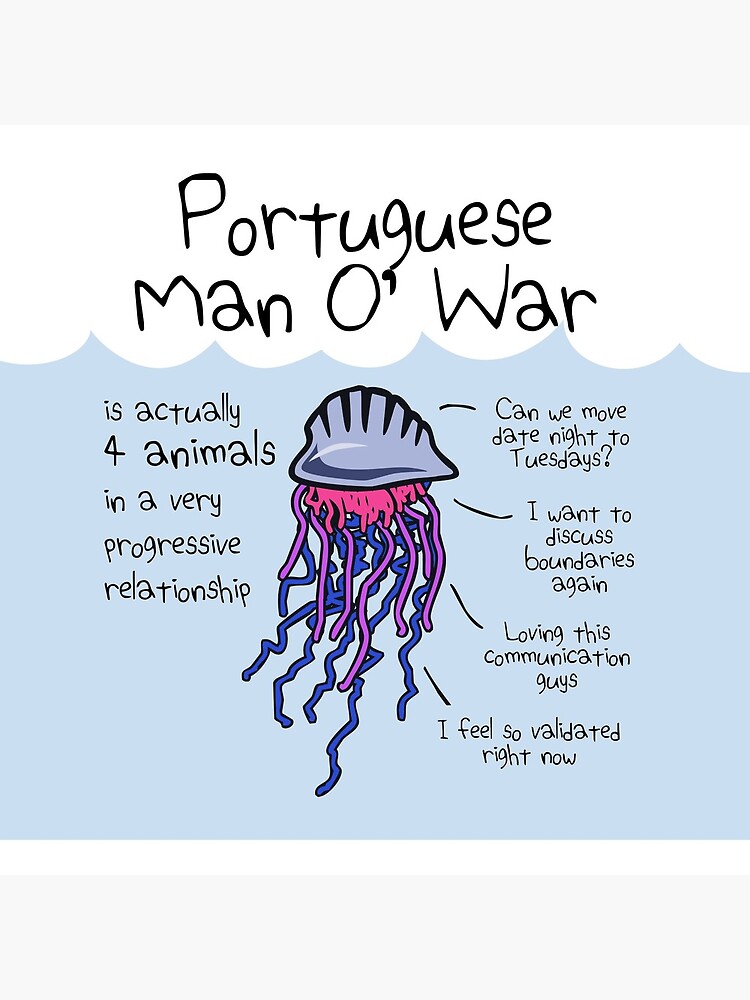 Portuguese Man O' War Is Actually 4 Animals In A Very Progressive Relationship by jezkemp