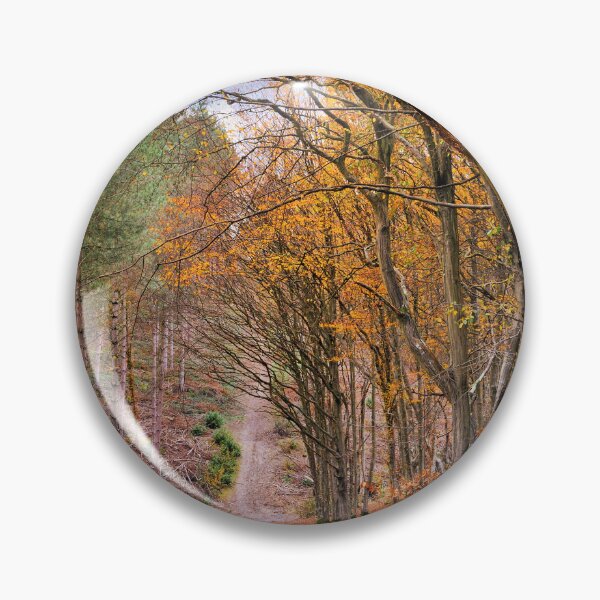 Item preview, If you go down to the woods today..... designed and sold by JEZ22.
