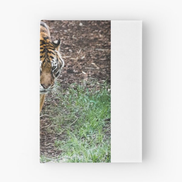 Item preview, Tiger designed and sold by XaviFotografia.