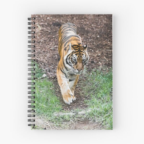 Item preview, Tiger designed and sold by XaviFotografia.