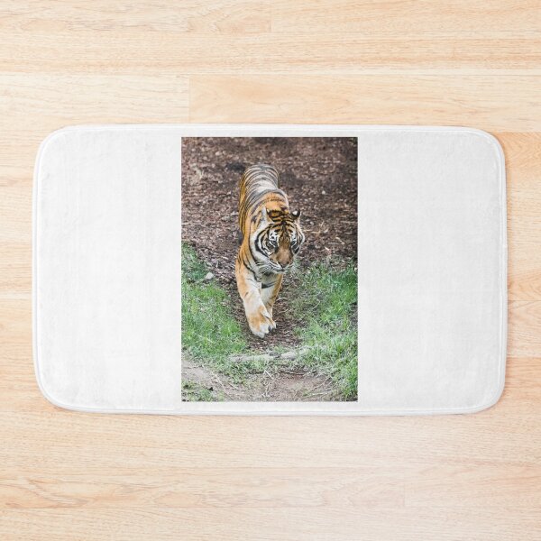 Item preview, Tiger designed and sold by XaviFotografia.