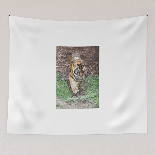 Item preview, Tiger designed and sold by XaviFotografia.