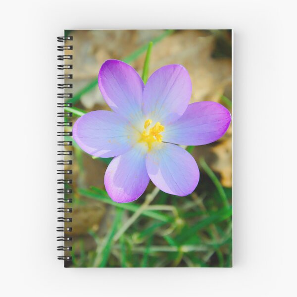 Item preview, Top View of Purple Crocus Flower designed and sold by ShotsbyDesiree.