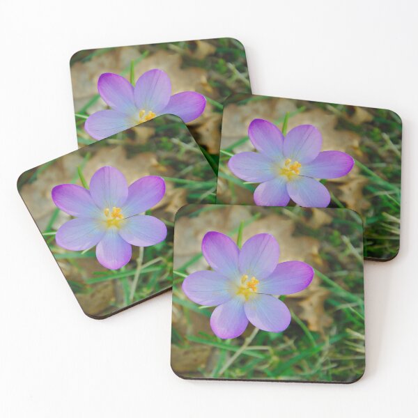 Item preview, Purple Star Crocus designed and sold by ShotsbyDesiree.