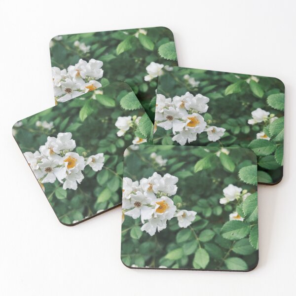 Item preview, Blooming White Roses | EDINSTEPPE Collection designed and sold by E D I N S T E P P E.