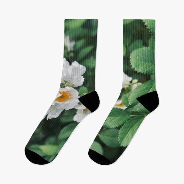 Item preview, Blooming White Roses | EDINSTEPPE Collection designed and sold by E D I N S T E P P E.