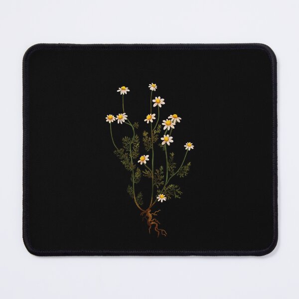Item preview, Chamomile Botanical Illustration Study designed and sold by katherineblower.