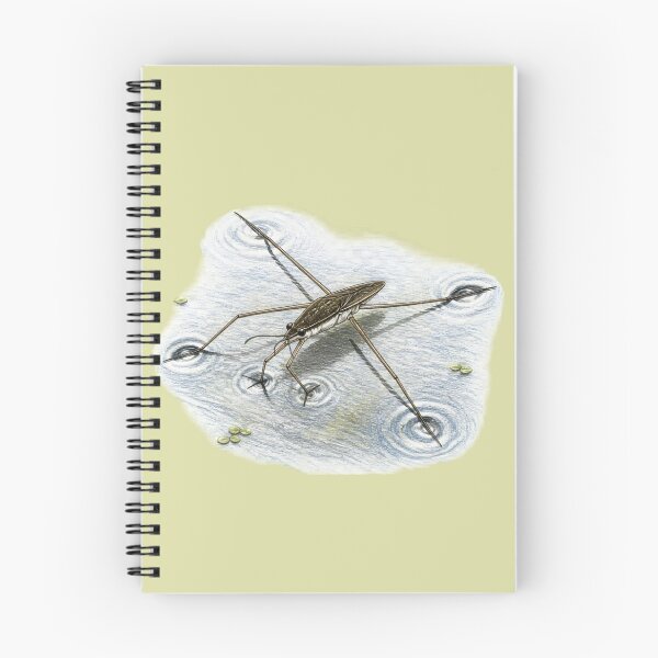 Item preview, Water Strider on Pond Surface designed and sold by BloomStudio1.