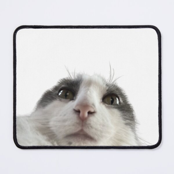 Item preview, beautiful face cat designed and sold by cloudzer0000.