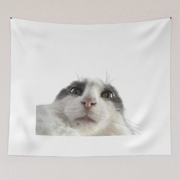 Item preview, beautiful face cat designed and sold by cloudzer0000.