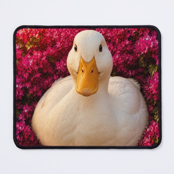Item preview, White Duck Among Vibrant Pink Blossoms designed and sold by Rohan132.