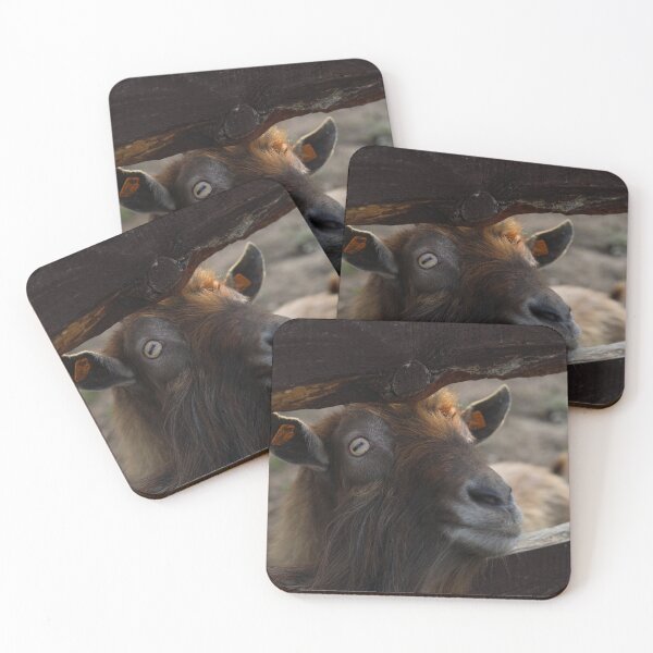 Item preview, Goat Close up Portrait Farm Animal Concept designed and sold by TatinkaArtskill.