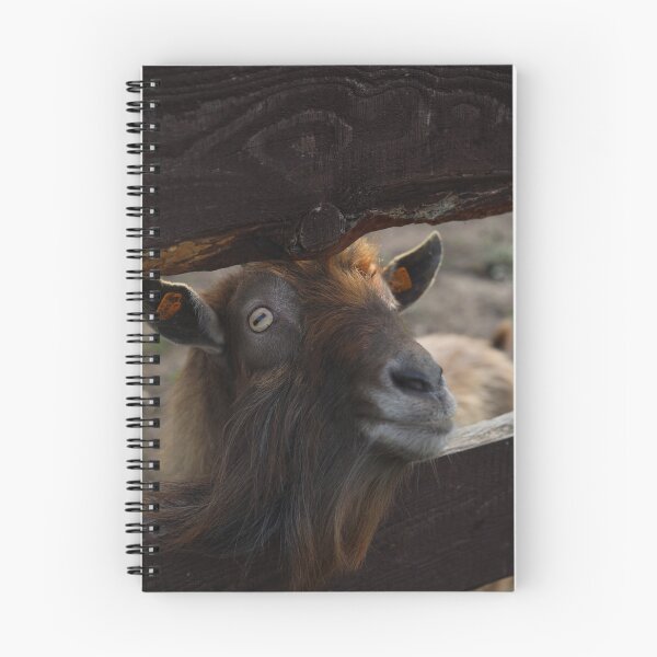 Item preview, Goat Close up Portrait Farm Animal Concept designed and sold by TatinkaArtskill.