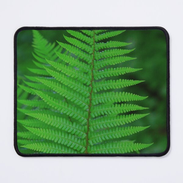 Item preview, Green Fern Leaf Closeup Botanical Nature Concept designed and sold by TatinkaArtskill.