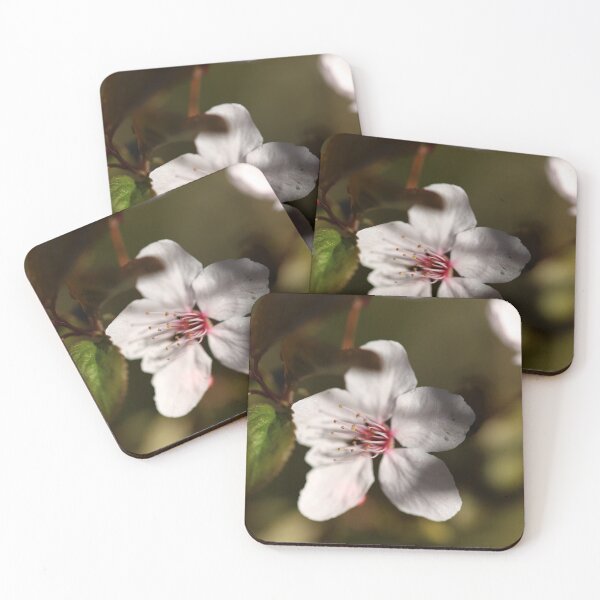 Item preview, Spring blossom macro background, minimalistic backgrounds designed and sold by TatinkaArtskill.