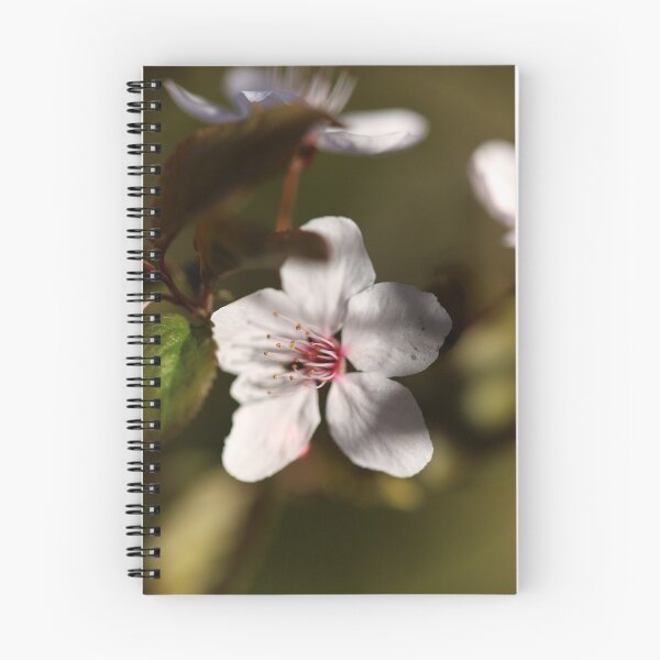 Item preview, Spring blossom macro background, minimalistic backgrounds designed and sold by TatinkaArtskill.