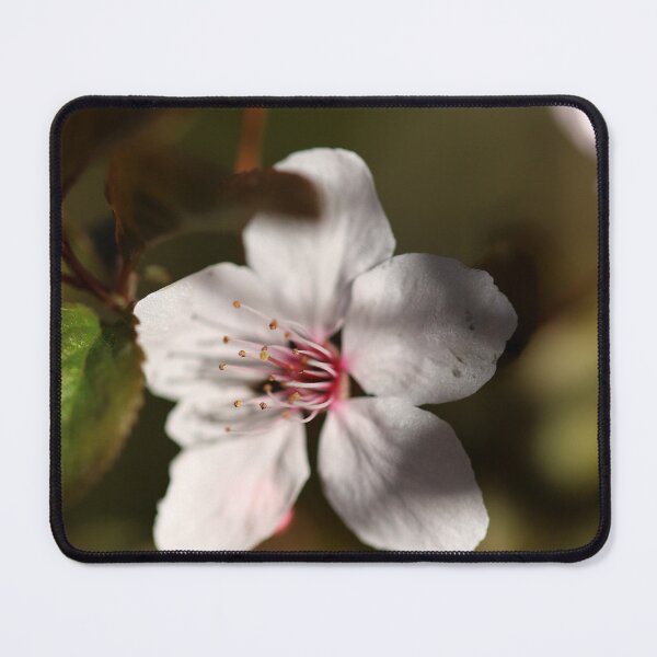 Item preview, Spring blossom macro background, minimalistic backgrounds designed and sold by TatinkaArtskill.