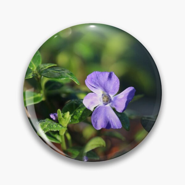 Item preview, Periwinkle flower in sunlight macro designed and sold by TatinkaArtskill.