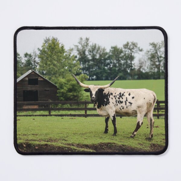 Item preview, Long Horn Cow designed and sold by OhSnapPhoto.
