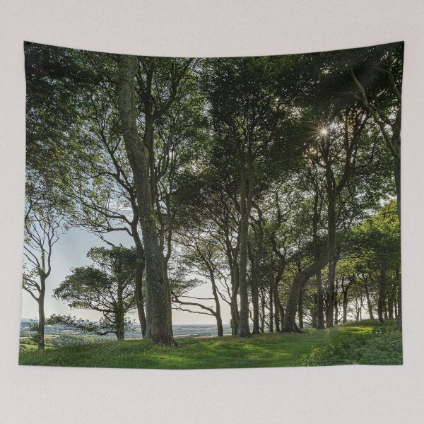Item preview, Chanctonbury Trees designed and sold by HazyApplePhoto.