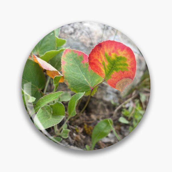 Item preview, Aura leaf  designed and sold by Madis-creations.