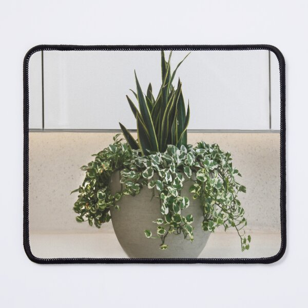 Item preview, Center Stage designed and sold by heatherfriedman.