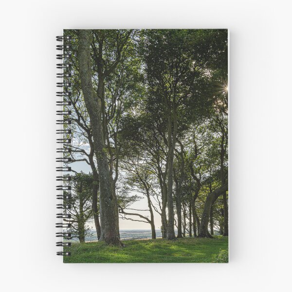 Item preview, Chanctonbury Trees designed and sold by HazyApplePhoto.