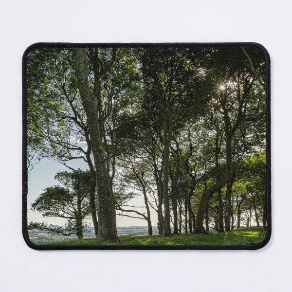 Item preview, Chanctonbury Trees designed and sold by HazyApplePhoto.