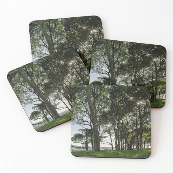 Item preview, Chanctonbury Trees designed and sold by HazyApplePhoto.