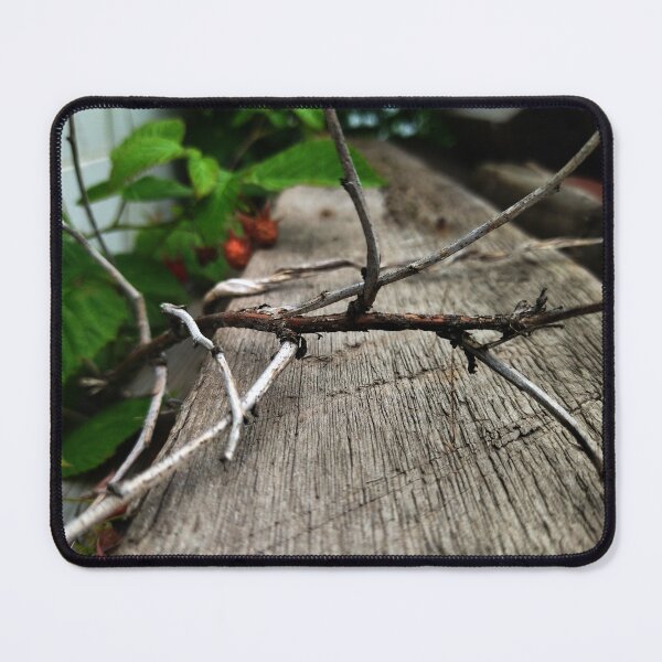 Item preview, Nature photography. Rustic Wooden Board with Dry Twigs and Green Raspberry Leaves. designed and sold by Sky-99.