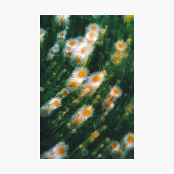 Item preview, dizzy daisies designed and sold by BoxyFox.