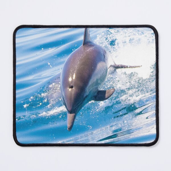 Item preview, Dolphin designed and sold by Steve Hunter.