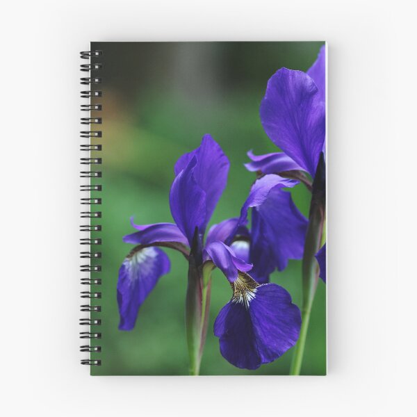Item preview, Iris Blues designed and sold by Debbie Oppermann.