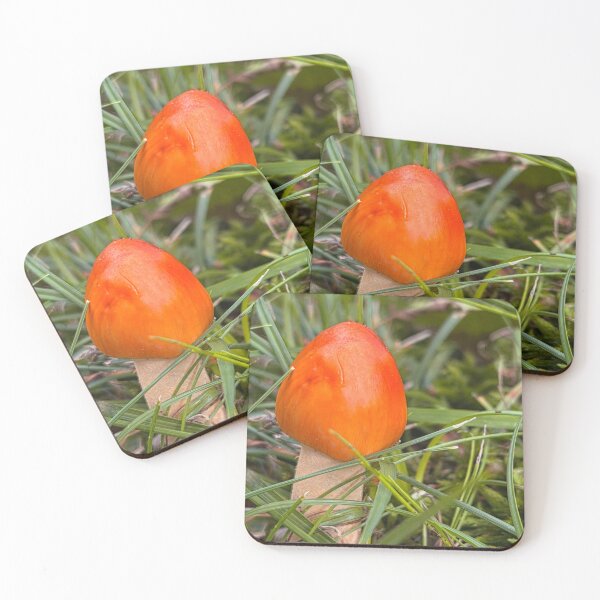 Item preview, Little Red Orange Wild Mushroom in the Grass Photo designed and sold by wanderingkayla.