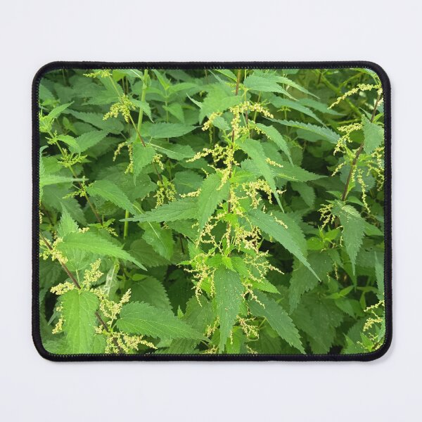 Item preview, Wild Green Nettle Forest designed and sold by PhuongVoArt.