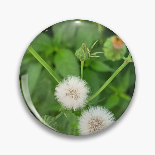 Item preview, White Dandelion Seed Heads designed and sold by PhuongVoArt.
